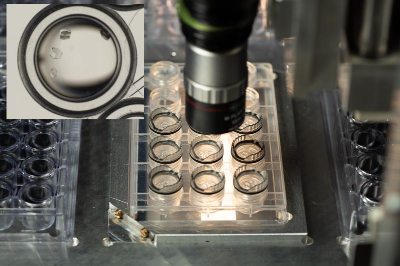 closer view of GemFinder using an EasyXtal protein crystallization plate (QIAGEN, 15-well); adapter used